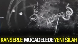 Kanserle mücadelede yeni silah