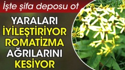 ROMATİZMA VE AGRILARA SON