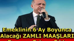 EMEKLİ’NİN 6 AYLIK MAAŞI