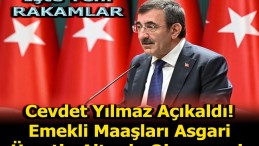 CEVDET YILMAZ YENİ RAKAMLARI DUYURDU