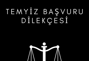 Temyiz Başvuru Dilekçesi