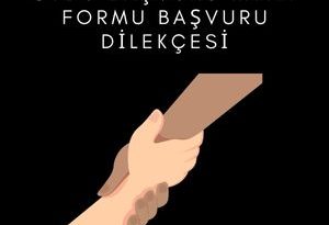 Sydv Başvuru Kayıt Formu Başvuru Dilekçesi