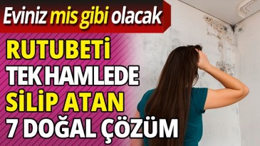 RUTUBETE DOGAL 7 ÇÖZÜM