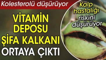 VİTAMİN DEPOSU ŞİFA KALKANI