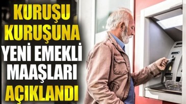 KİM NE KADAR ALIYOR NETLEŞTİ?