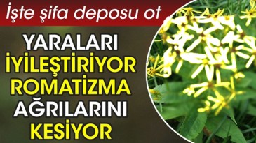 ROMATİZMA VE AGRILARA SON
