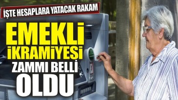 HESAPLARA YATACAK RAKAM