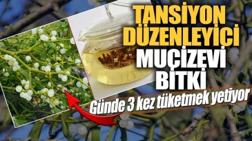 TANSİYON DENGELEMEYE BİREBİR