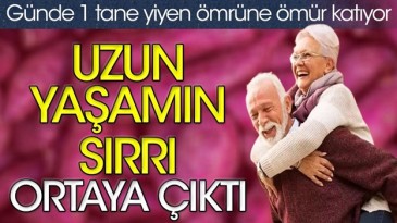 UZUN YAŞAMANIN SIRRI BELLİ OLDU