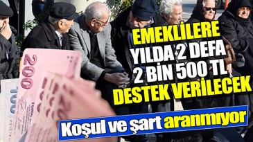 YILDA 2 KERE EMEKLİLERE VERİLECEK