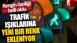 YENİ RENK’İN ANLAMI BELLİ OLDU