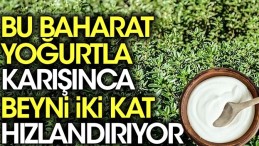 YOGURDUN MUCİZE FAYDASI