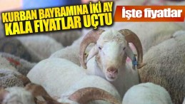 İŞTE YENİ FİYATLAR