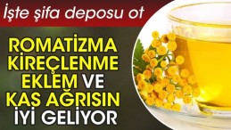 ROMATİZMA KİREÇLENME VE EKLEM