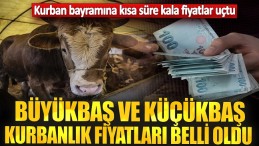 FİYATLAR DA DEV ARTIŞ