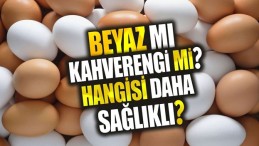 HANGİSİ DAHA SAĞLIKLI?