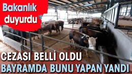 BAKANLIK DUYURDU CEZASI ÇOK AĞIR