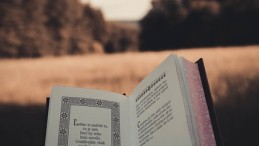Zeka ve Yapay Zeka: İnsanın Geleceği