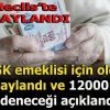 SGK EMEKLİSİNE ONAYLANDI