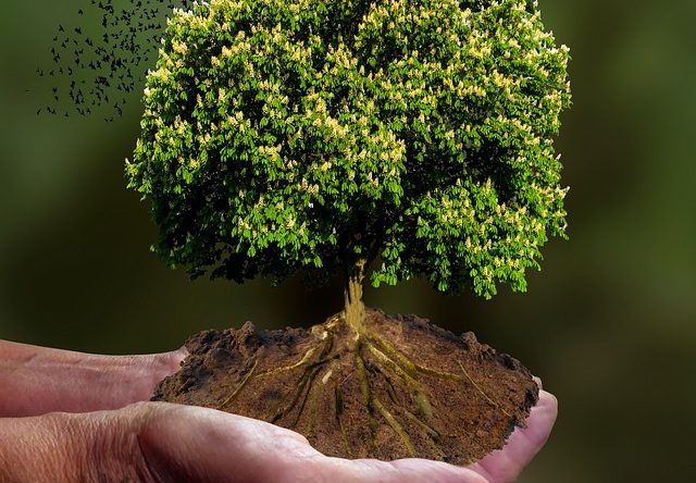 Mide Sağlığını Korumak İçin Beslenme Önerileri